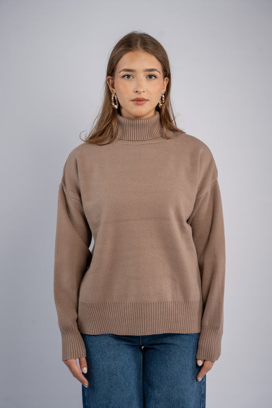 Turtle neck knit top