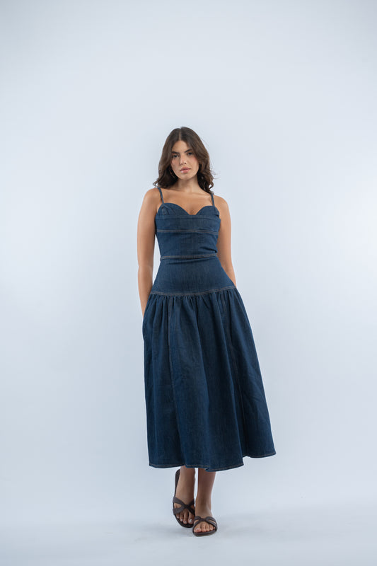 Solene denim dress