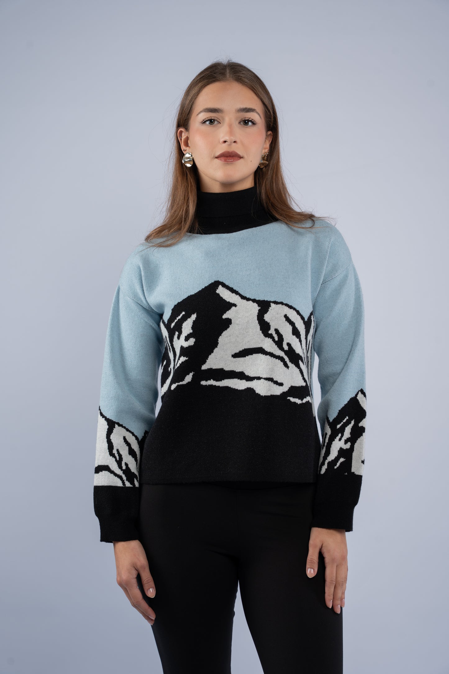 Alpine knit top