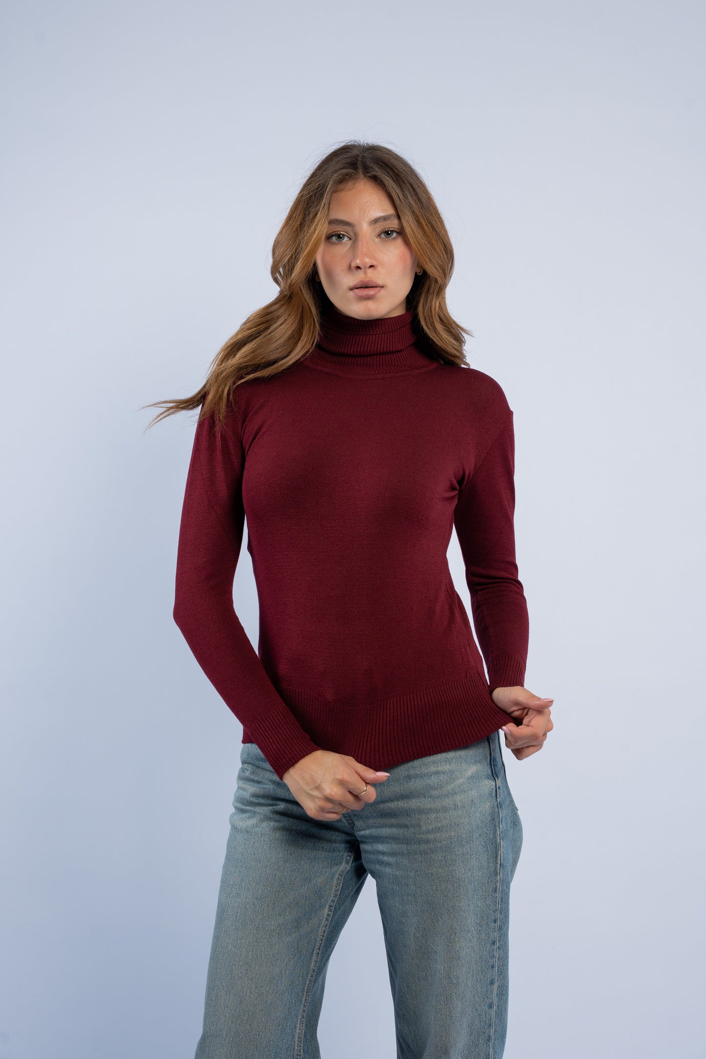 Fitted turtle neck knit top