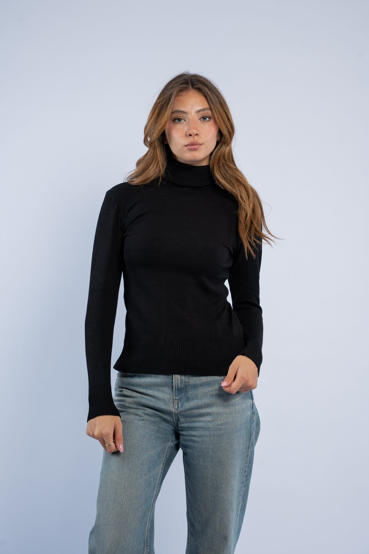 Fitted turtle neck knit top