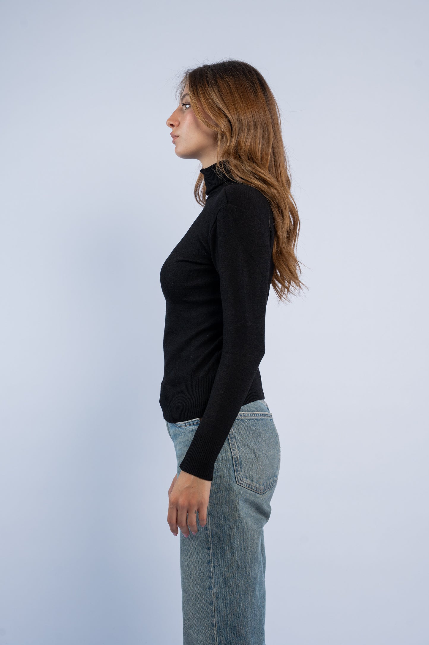 Fitted turtle neck knit top