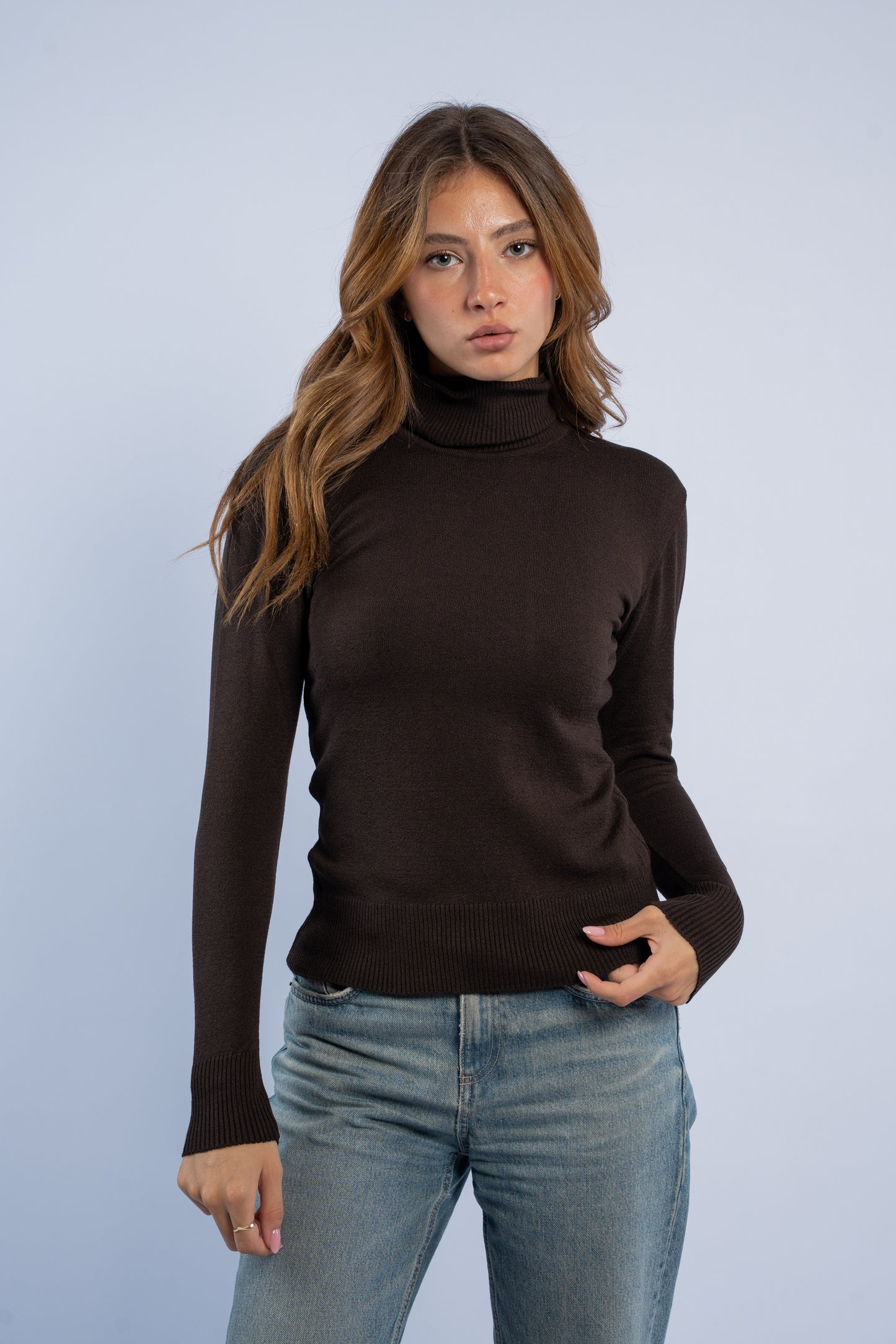 Fitted turtle neck knit top