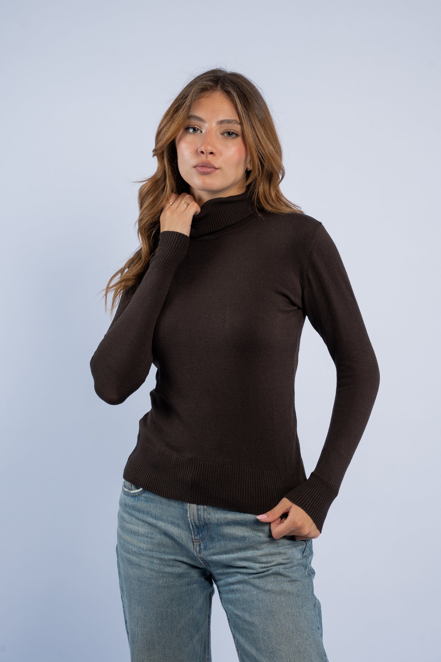 Fitted turtle neck knit top