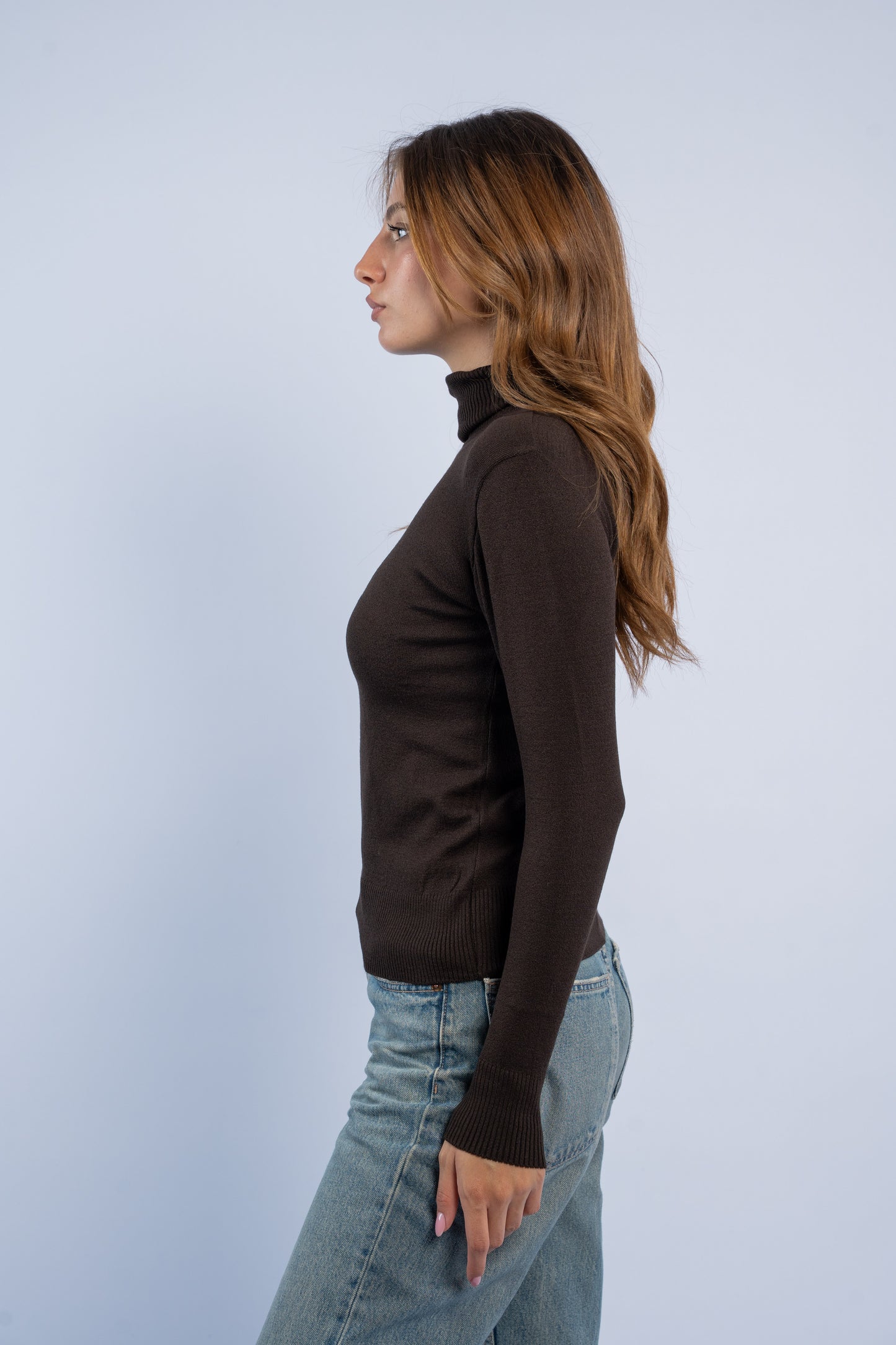 Fitted turtle neck knit top