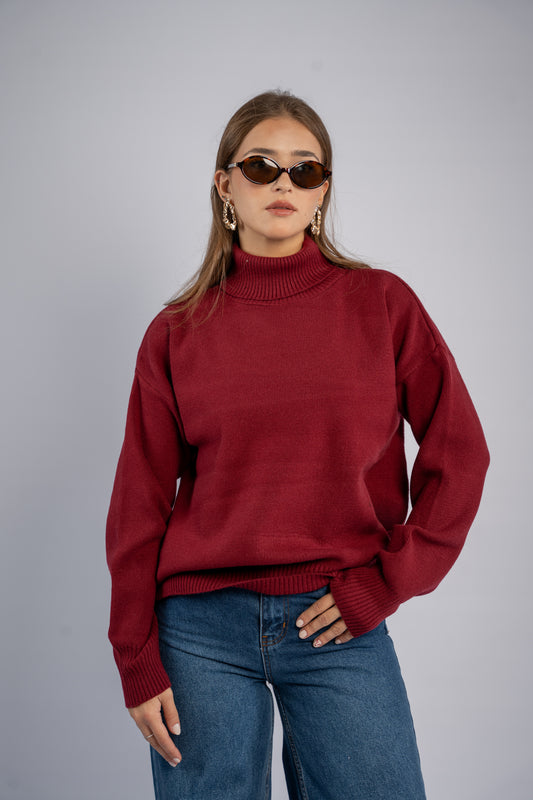Turtle neck knit top